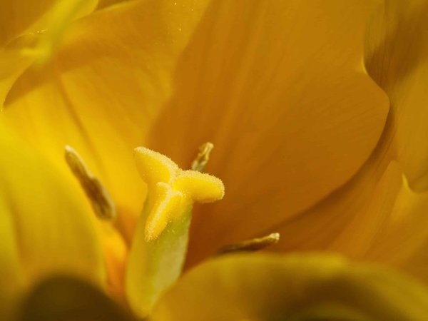 Innovation pédagogique : Les avantages insoupçonnés des Technologies d'Immersion dans l'Enseignement